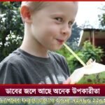 রাস্তা সারাইয়ের দাবিতে পথ অবরোধ করে বিক্ষোভ স্থানীয় বাসিন্দাদের