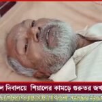 ডোমকল টাউন তৃণমূল কংগ্রেসের উদ্দ্যোগে বিজয়া সম্মেলনী ও বর্ষীয়ান তৃনমূল কর্মীদের সংবর্ধনা অনুষ্ঠান